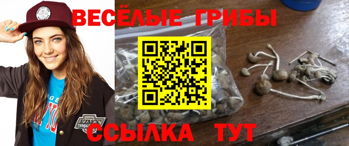 Псилоцибиновые грибы MAGIC MUSHROOMS Видное